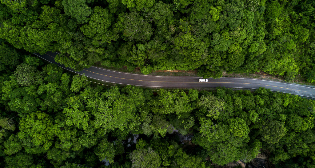 Auto fährt auf der Straße durch einen Wald aus der Vogelpersepektive.